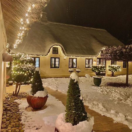 Appartement Mindedalen - Idyl Taet Pa Alt Og Helt I Fred à Billum Extérieur photo
