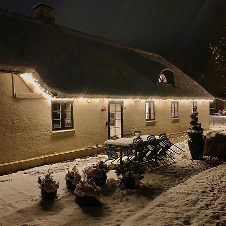 Appartement Mindedalen - Idyl Taet Pa Alt Og Helt I Fred à Billum Extérieur photo