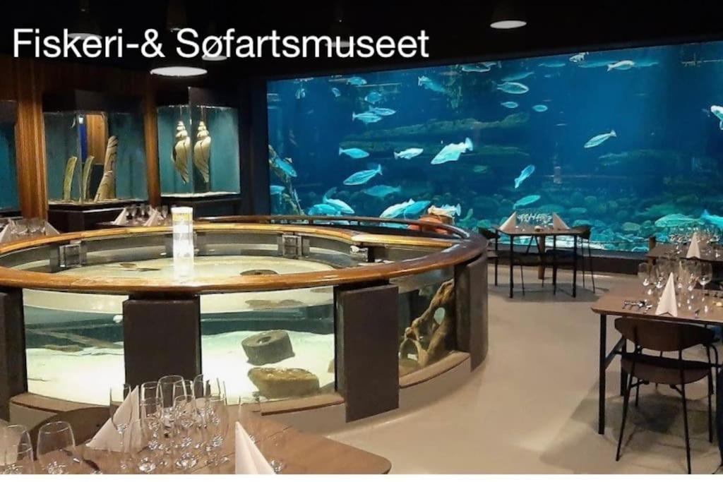 Appartement Mindedalen - Idyl Taet Pa Alt Og Helt I Fred à Billum Extérieur photo