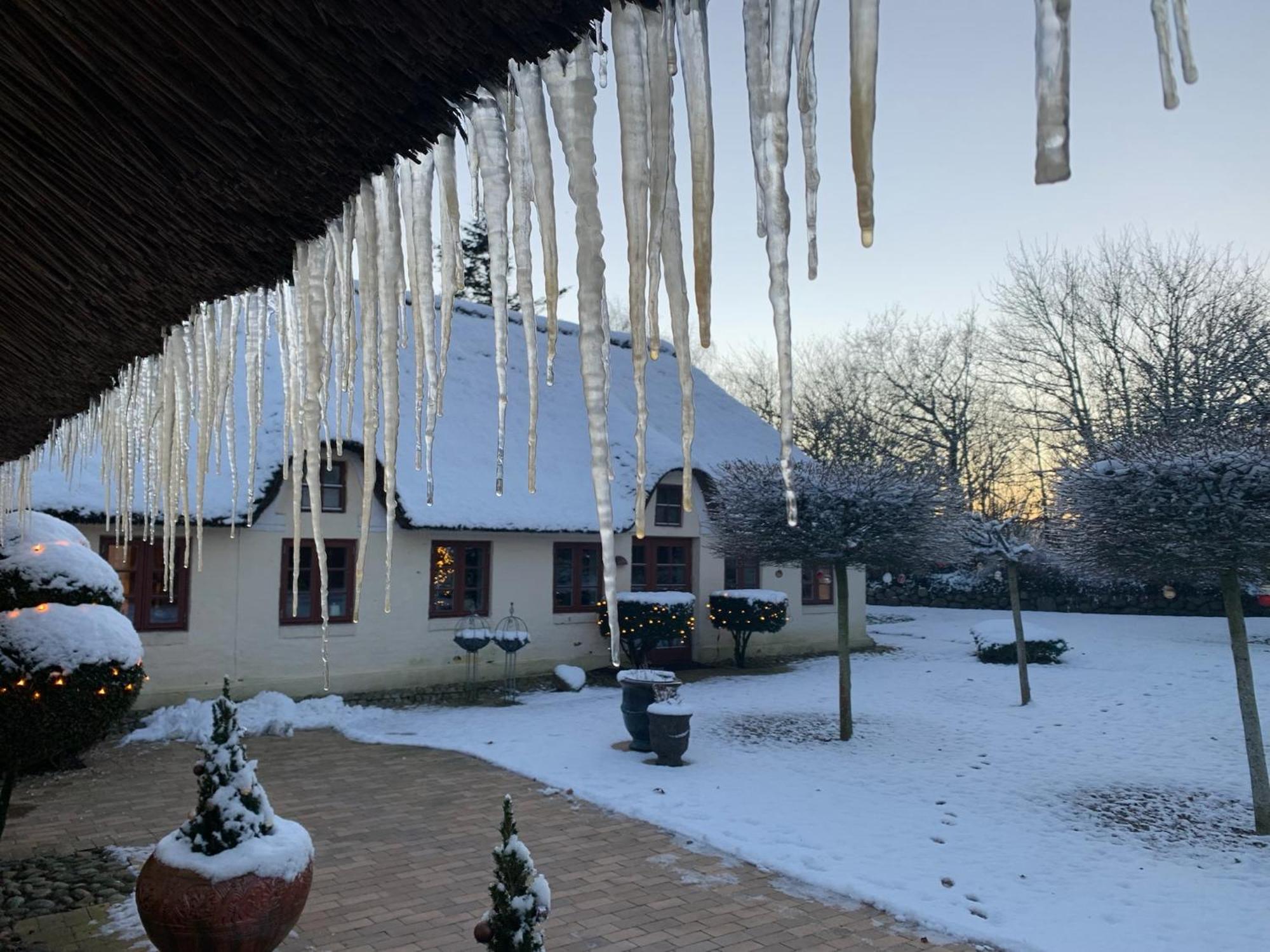 Appartement Mindedalen - Idyl Taet Pa Alt Og Helt I Fred à Billum Extérieur photo