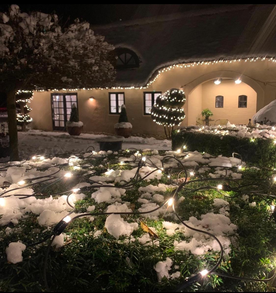 Appartement Mindedalen - Idyl Taet Pa Alt Og Helt I Fred à Billum Extérieur photo