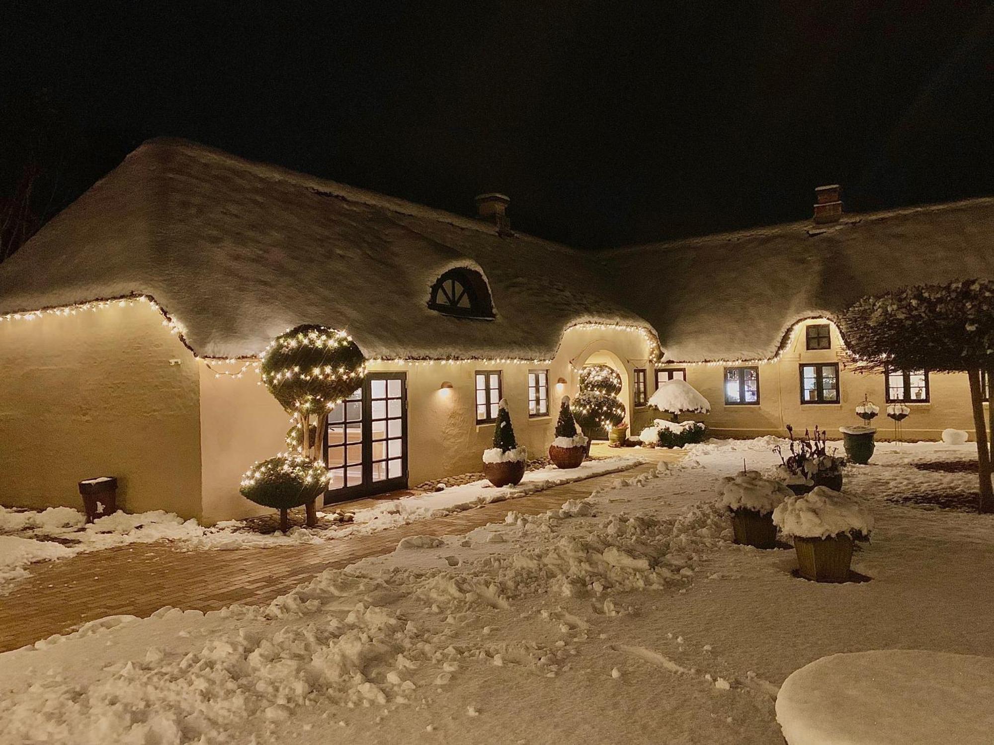 Appartement Mindedalen - Idyl Taet Pa Alt Og Helt I Fred à Billum Extérieur photo