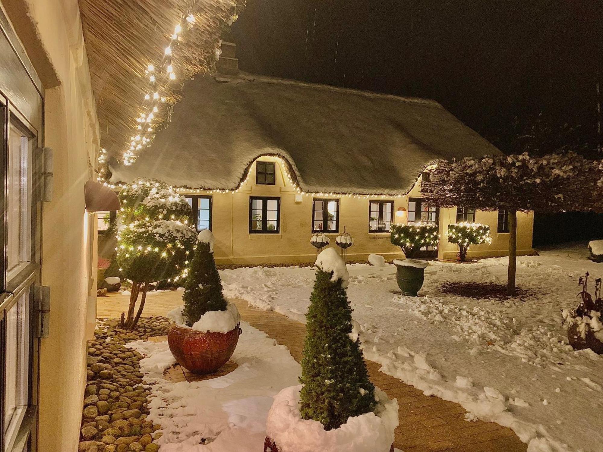Appartement Mindedalen - Idyl Taet Pa Alt Og Helt I Fred à Billum Extérieur photo