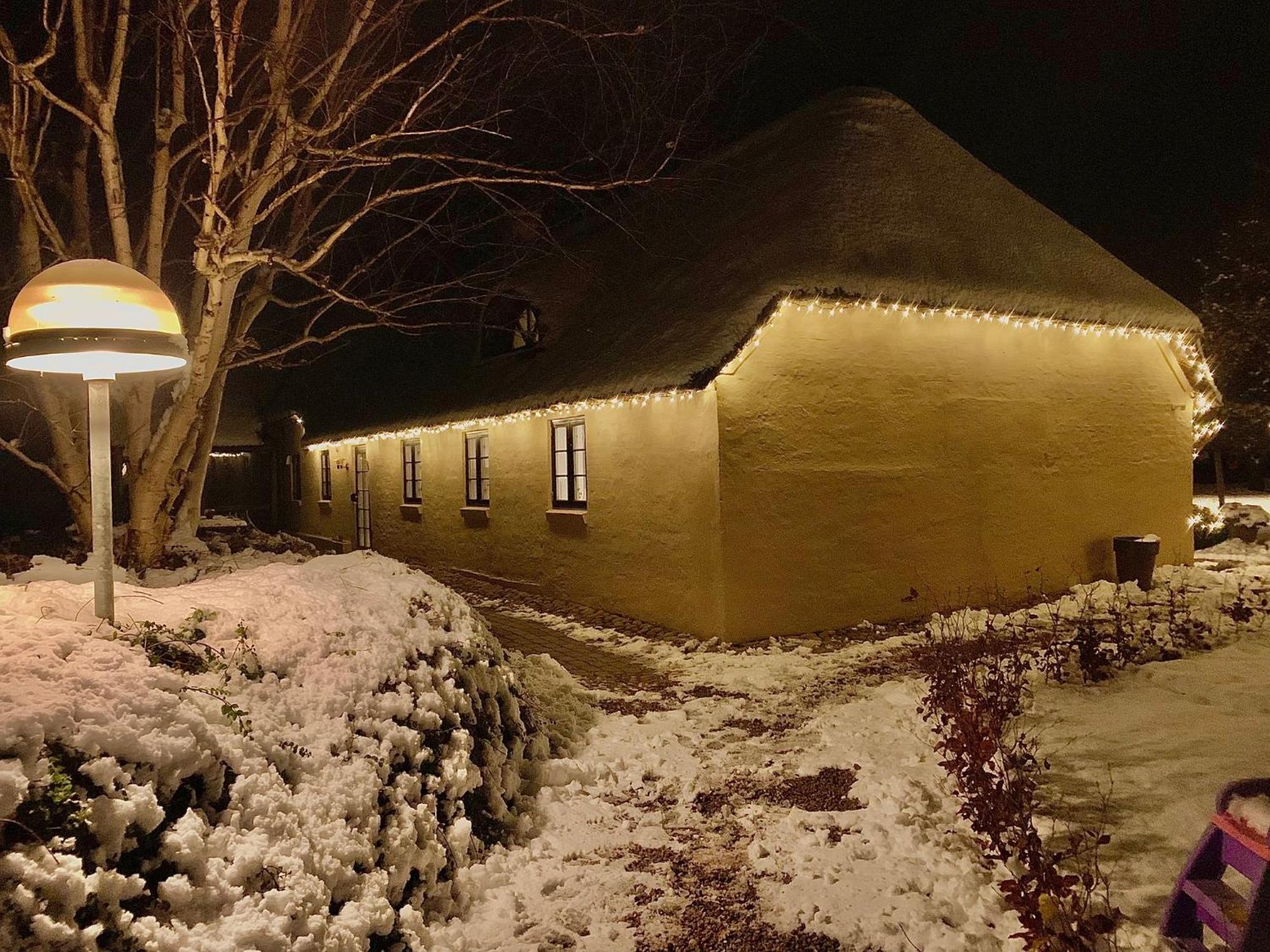Appartement Mindedalen - Idyl Taet Pa Alt Og Helt I Fred à Billum Extérieur photo