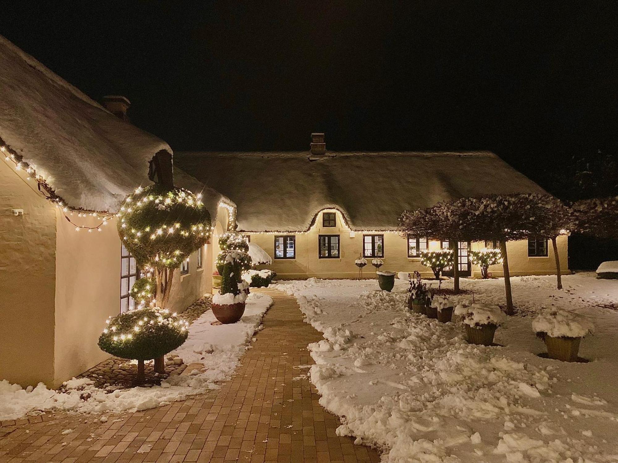 Appartement Mindedalen - Idyl Taet Pa Alt Og Helt I Fred à Billum Extérieur photo
